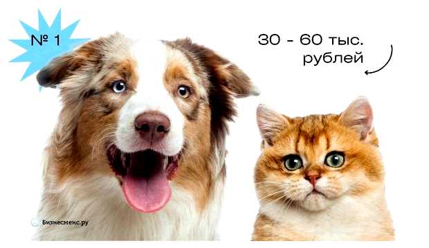 Чем заняться на дому 2023