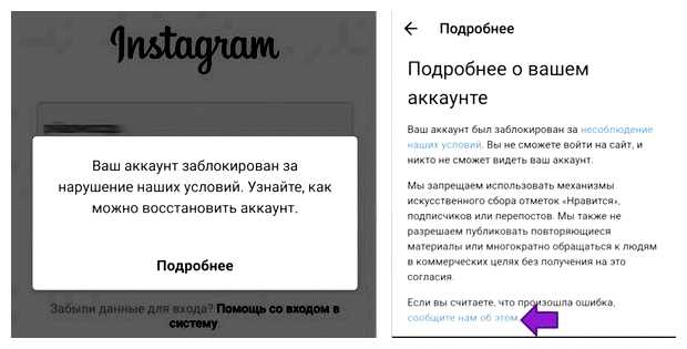 Что будет если накрутить подписчиков в инстаграме