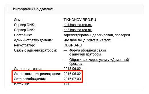 Что будет если не платить за домен