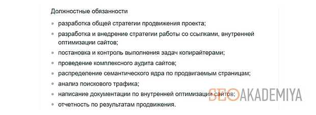 Что должен уметь Сеошник