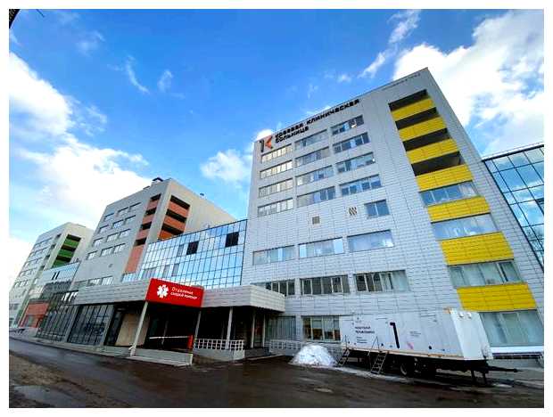 Что люди чаще всего ищут в Интернете