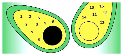 Что нужно чтобы собрать семантическое ядро