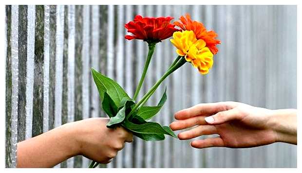 Что означает слово CEO