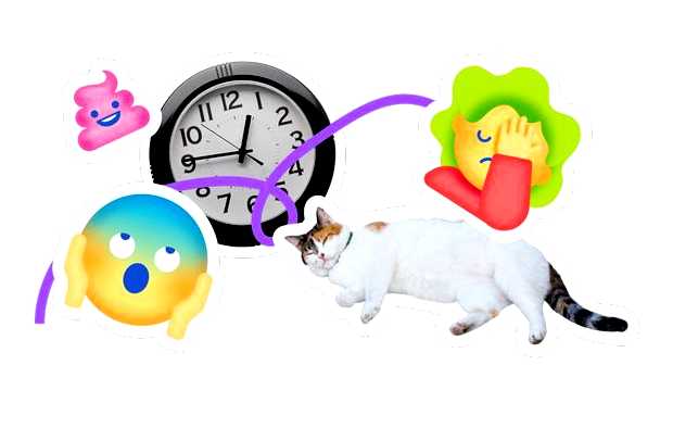 Что означает слово CEO