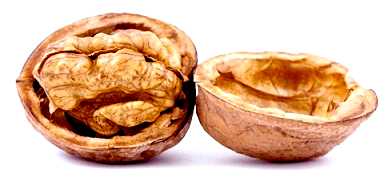 Что представляет собой семантическое ядро сайта