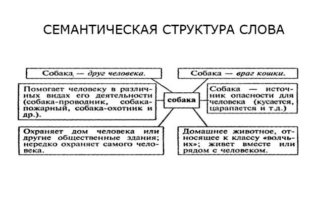 Что такое лексико семантический вариант слова