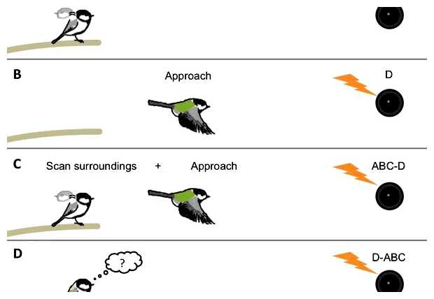 Для чего нам нужен синтаксис
