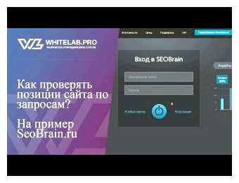 Как поднять позиции сайта в поиске