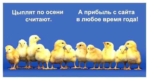 Как получить прибыль от сайта