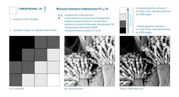 Как работает SEM