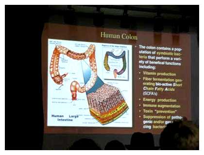 Какие процессы можно оптимизировать