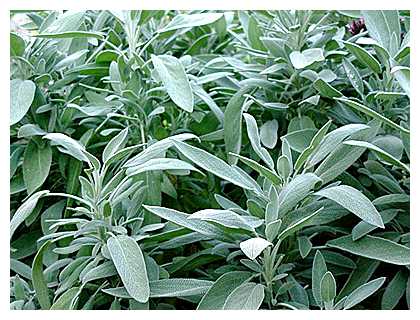 Какой товар люди покупают чаще всего