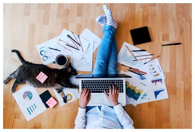 На чем можно заработать сидя дома