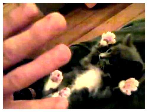 Сколько платят за 1 млн просмотров на ютубе