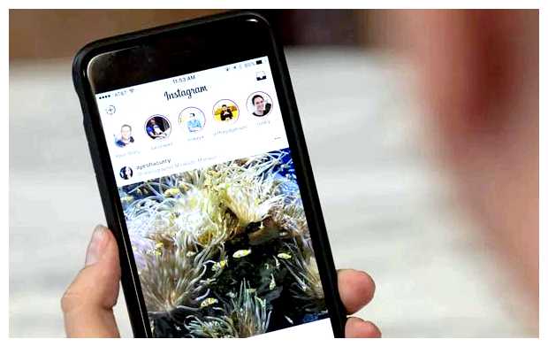 Сколько платят за подписчиков в инстаграме