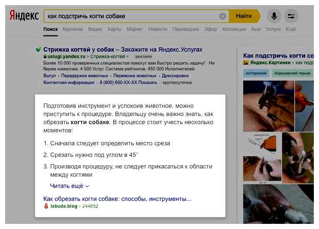Как поднять свой сайт в поиске Яндекс